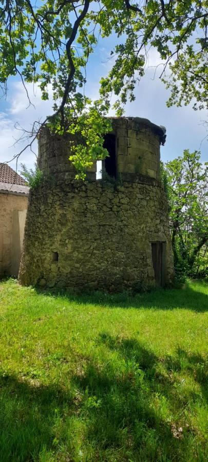Moulin De Bigorre Villa Saint-Genes-de-Castillon Exterior photo